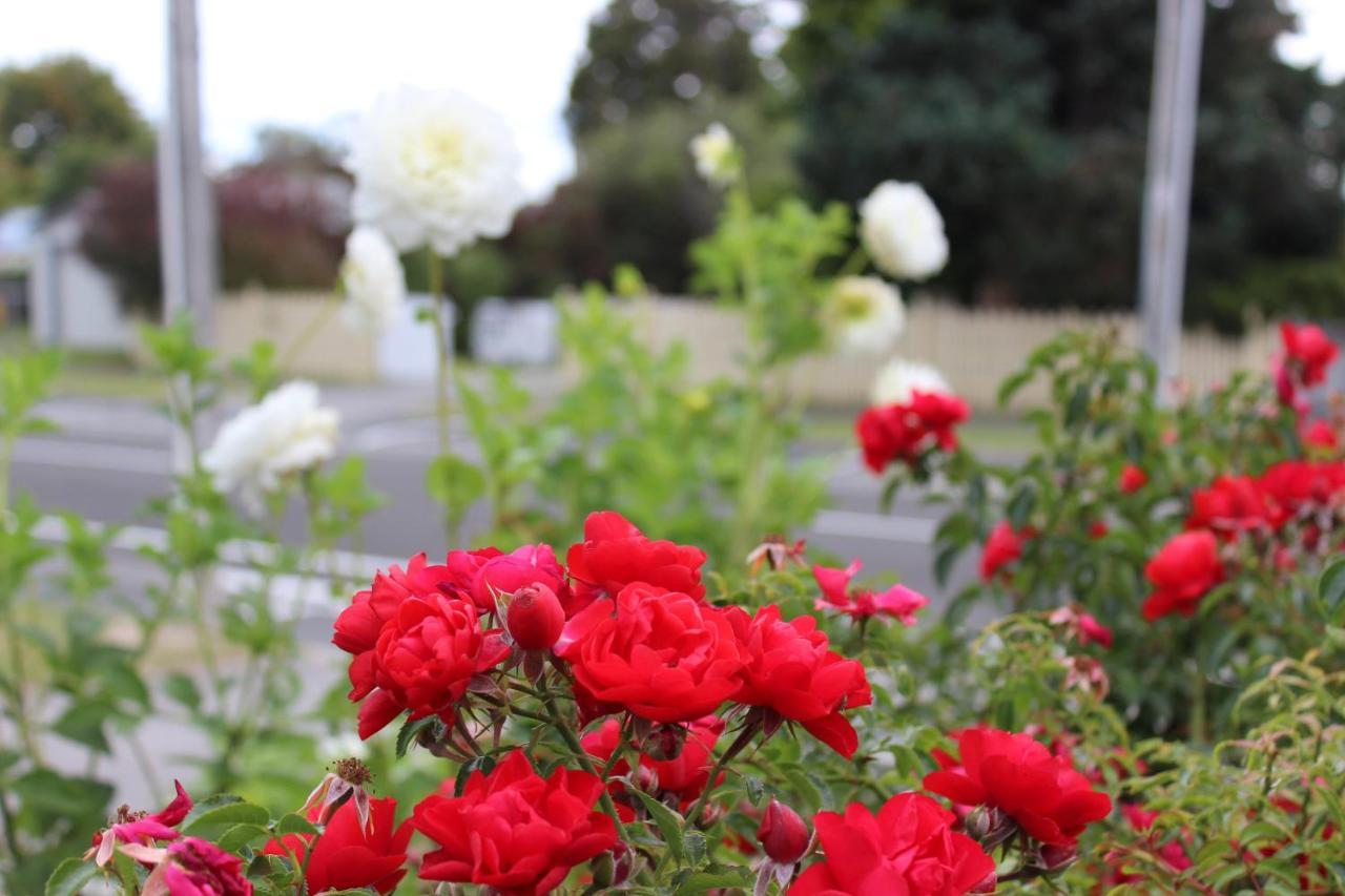 Bram'S Bach Taupo Exterior photo